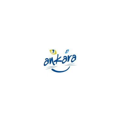 Ankara Korsan Taxi & Shared Ride Risks